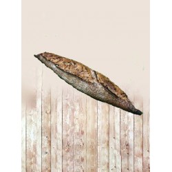 Baguette omega