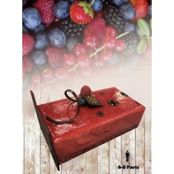 Buche Belle des Bois